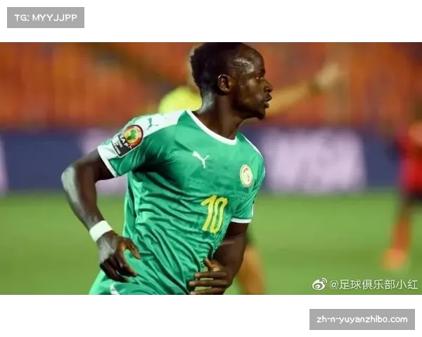 塞内加尔2002世界杯辉煌历程展现非洲足球的无限可能与骄傲